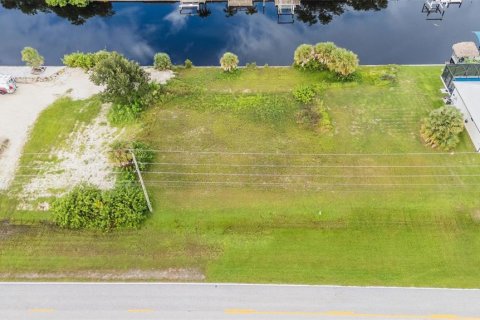 Land in Port Charlotte, Florida № 1912482 - photo 9