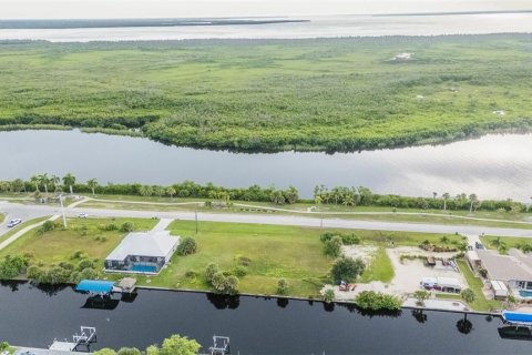 Land in Port Charlotte, Florida № 1912482 - photo 3