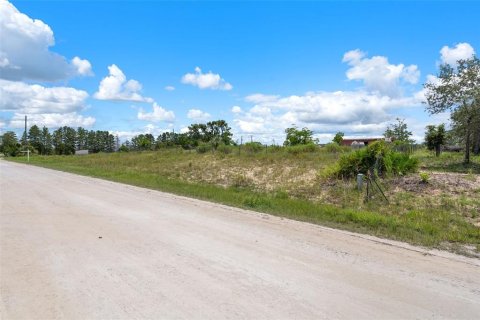 Land in Weeki Wachee, Florida № 1901214 - photo 13