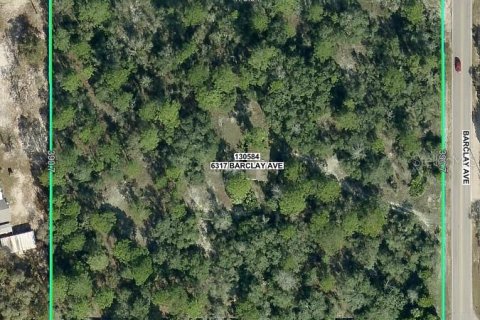 Land in Spring Hill, Florida № 1870857 - photo 1