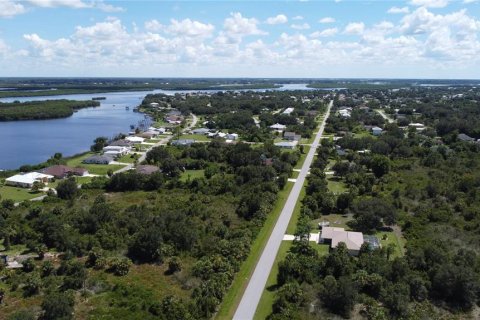 Land in Punta Gorda, Florida № 2196100 - photo 10