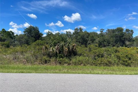 Land in Punta Gorda, Florida № 2196100 - photo 12