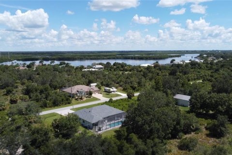 Land in Punta Gorda, Florida № 2196100 - photo 11