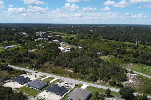 Land in Punta Gorda, Florida № 2196100 - photo 6