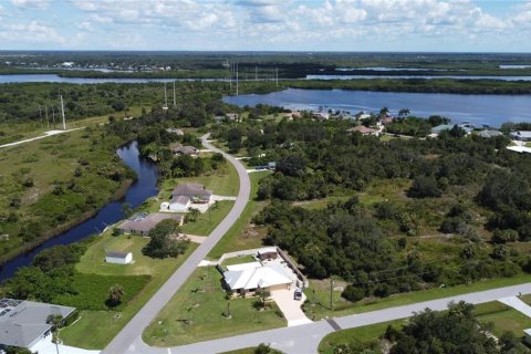 Land in Punta Gorda, Florida № 2196100 - photo 13