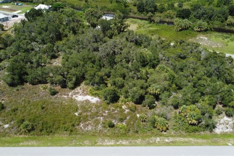 Land in Punta Gorda, Florida № 2196100 - photo 5