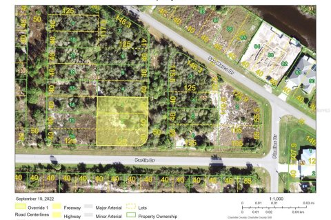 Land in Punta Gorda, Florida № 2196100 - photo 2