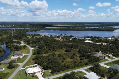 Land in Punta Gorda, Florida № 2196100 - photo 8