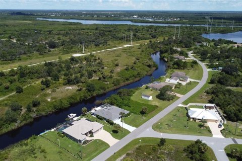 Land in Punta Gorda, Florida № 2196100 - photo 7