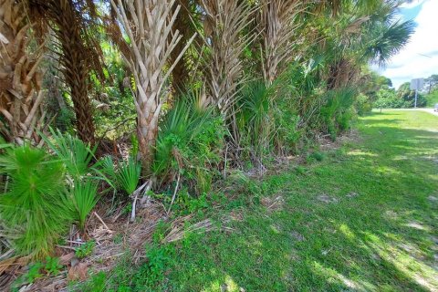 Land in Englewood, Florida № 2159750 - photo 2