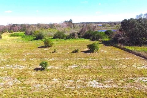 Terreno en venta en Mulberry, Florida № 1156070 - foto 2