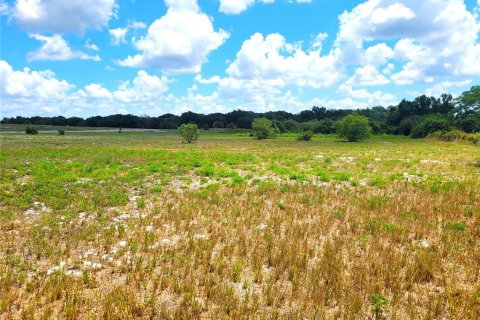 Terreno en venta en Mulberry, Florida № 1156070 - foto 4