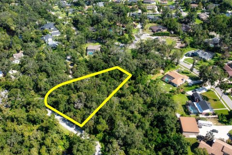 Terreno en venta en Brandon, Florida № 1916764 - foto 9