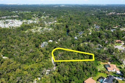 Terreno en venta en Brandon, Florida № 1916764 - foto 7