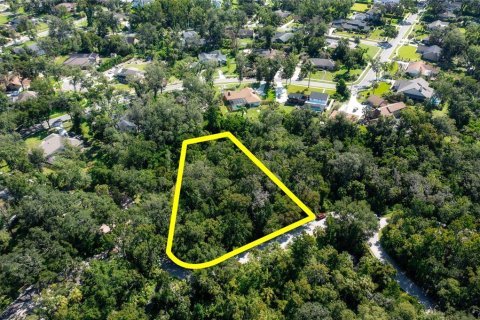 Terreno en venta en Brandon, Florida № 1916764 - foto 8
