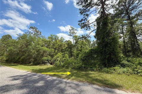 Land in Eustis, Florida № 1626036 - photo 1