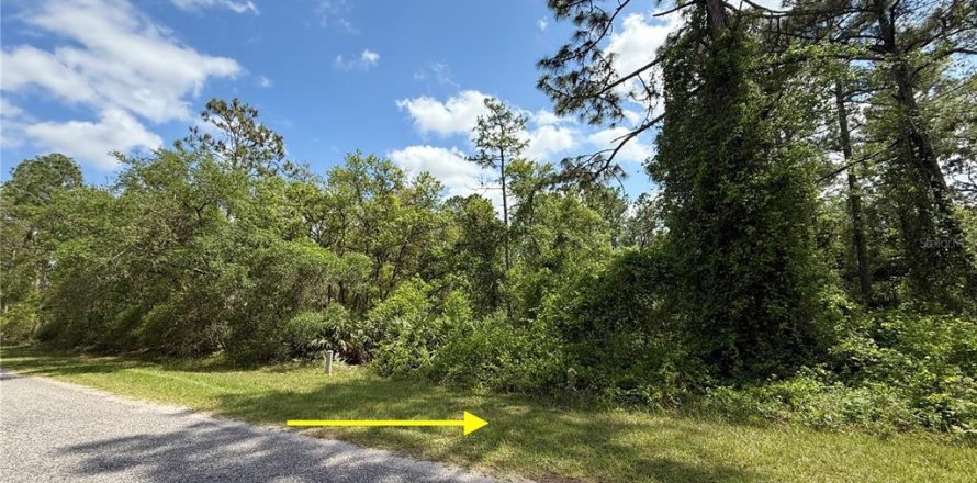 Land in Eustis, Florida № 1626036