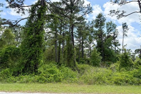 Land in Eustis, Florida № 1626036 - photo 13
