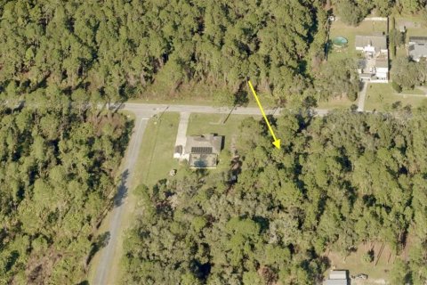 Land in Eustis, Florida № 1626036 - photo 5
