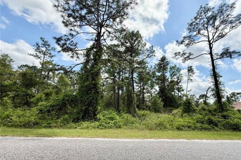 Land in Eustis, Florida № 1626036 - photo 12