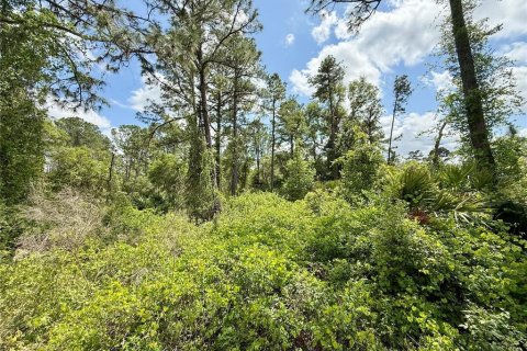 Land in Eustis, Florida № 1626036 - photo 9