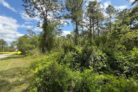 Land in Eustis, Florida № 1626036 - photo 7