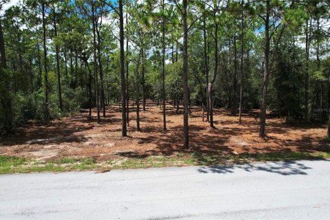 Land in Dunnellon, Florida № 2344963