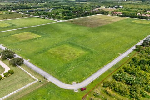 Land in Homestead, Florida № 1855294 - photo 2