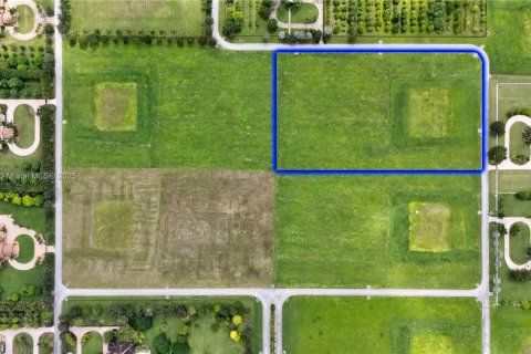 Land in Homestead, Florida № 1855294 - photo 5