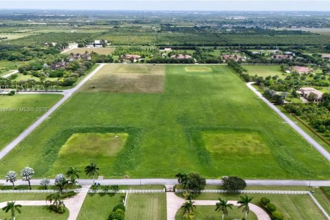 Land in Homestead, Florida № 1855294 - photo 3