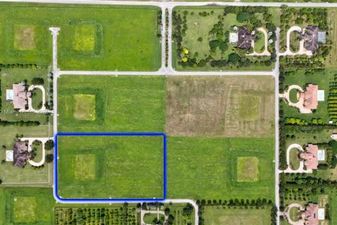 Land in Homestead, Florida № 1855294 - photo 7