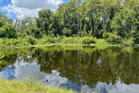 Adosado en alquiler en Tampa, Florida, 3 dormitorios, 131.64 m2 № 1905742 - foto 17