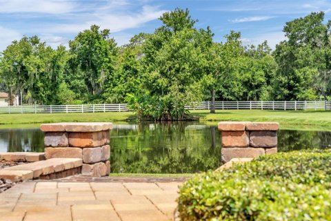Casa en venta en Dover, Florida, 4 dormitorios, 657.75 m2 № 2236817 - foto 19