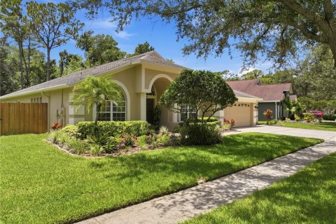 House in Tampa, Florida 4 bedrooms, 243.5 sq.m. № 2151976 - photo 3