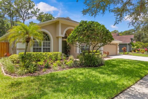 House in Tampa, Florida 4 bedrooms, 243.5 sq.m. № 2151976 - photo 4