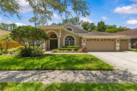 House in Tampa, Florida 4 bedrooms, 243.5 sq.m. № 2151976