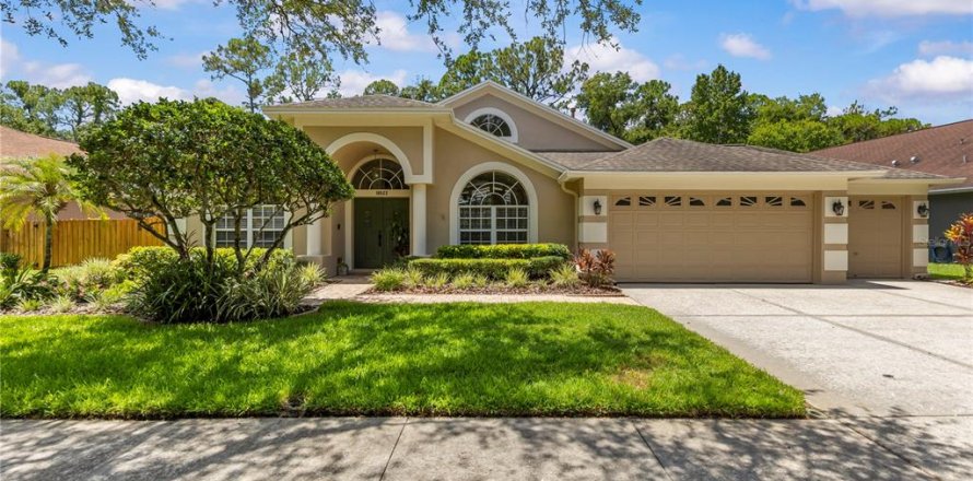 House in Tampa, Florida 4 bedrooms, 243.5 sq.m. № 2151976