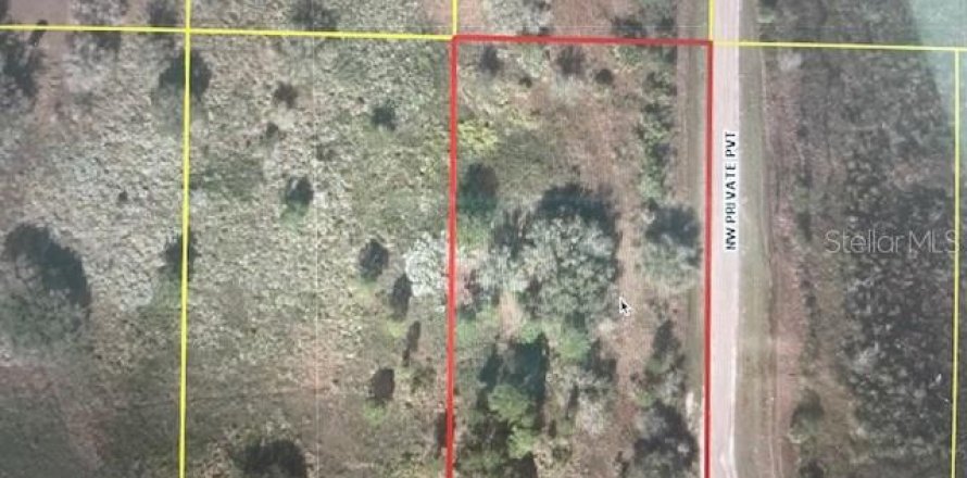 Land in Okeechobee, Florida № 1553989