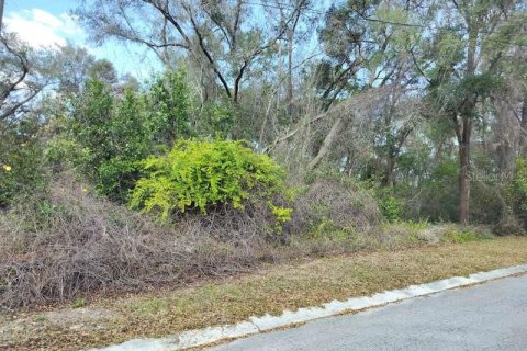 Land in Inverness, Florida № 2161155 - photo 4