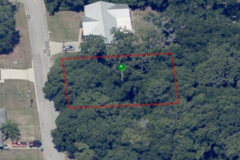 Land in Inverness, Florida № 2161155 - photo 3