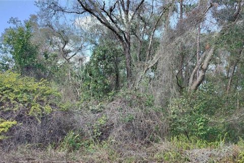 Land in Inverness, Florida № 2161155 - photo 7