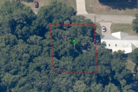 Land in Inverness, Florida № 2161155 - photo 8