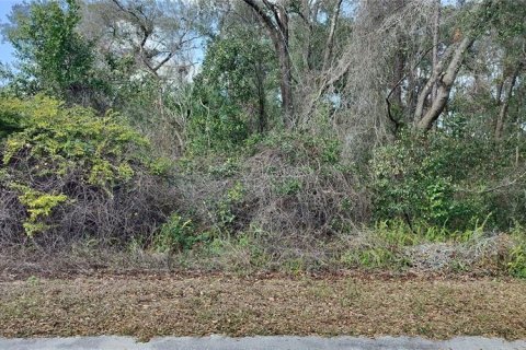 Land in Inverness, Florida № 2161155