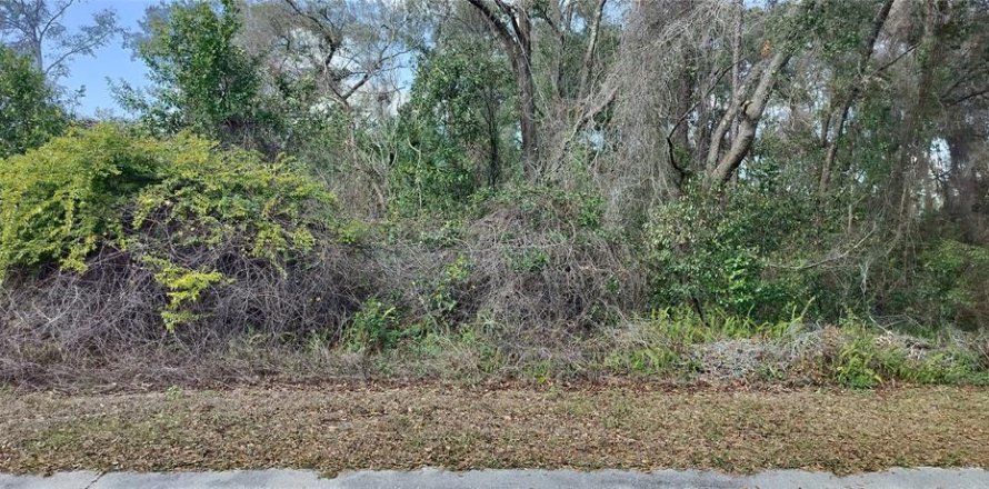 Land in Inverness, Florida № 2161155