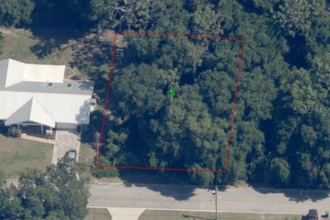 Land in Inverness, Florida № 2161155 - photo 9