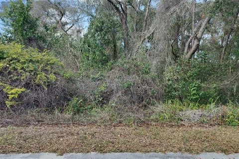 Land in Inverness, Florida № 2161155 - photo 6