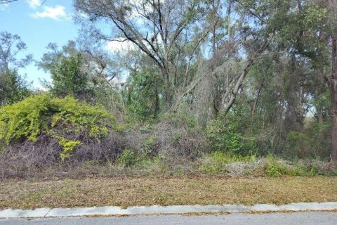 Land in Inverness, Florida № 2161155 - photo 2