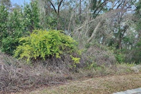 Land in Inverness, Florida № 2161155 - photo 5