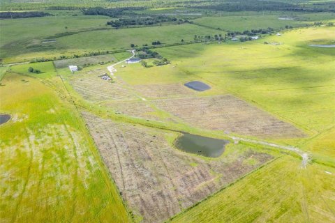 Купить виллу или дом в Она, Флорида 5 комнат, 257.9м2, № 1915443 - фото 23