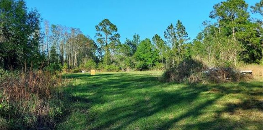 Terreno en Geneva, Florida № 1800075